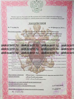 лицензия 1